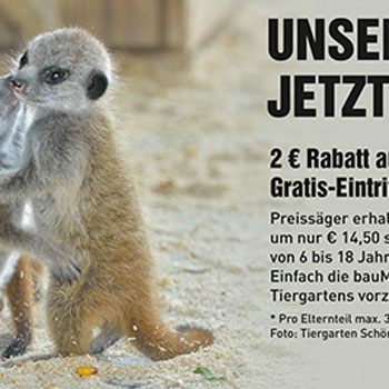 Inserat