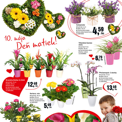 Prospektlayout