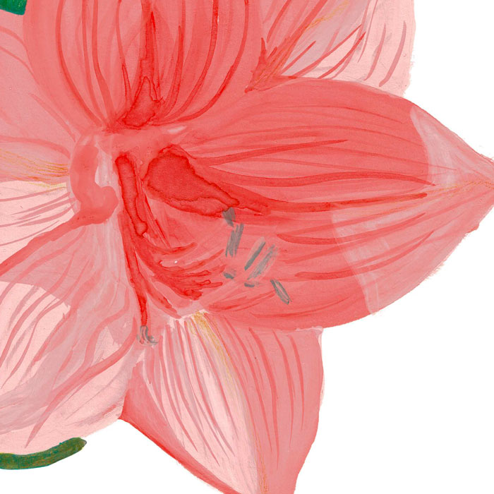 Illustration Blume